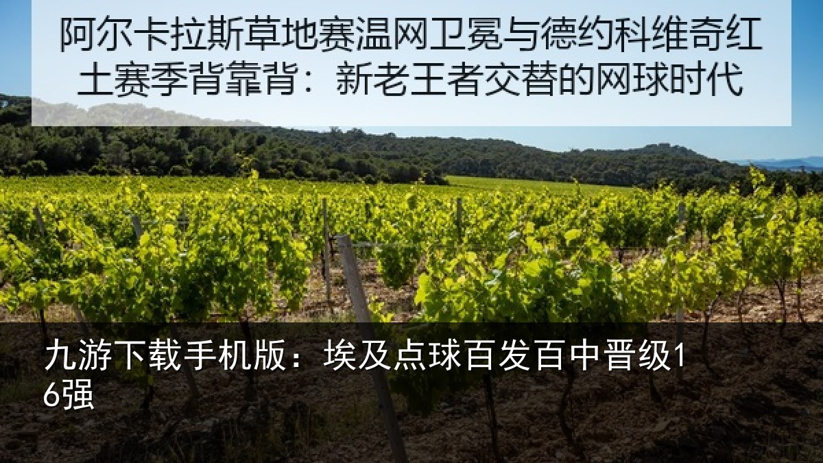 九游下载手机版：埃及点球百发百中晋级16强