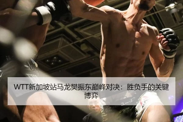 WTT新加坡站马龙樊振东巅峰对决：胜负手的关键博弈