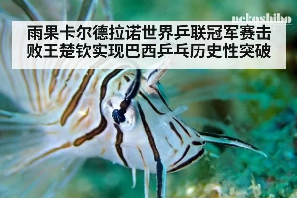 雨果卡尔德拉诺世界乒联冠军赛击败王楚钦实现巴西乒乓历史性突破